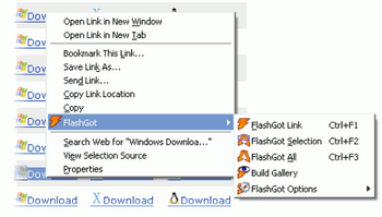 FlashGot  v.1.0 